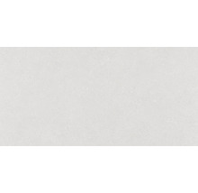Échantillon de carrelage Alpen blanc mat