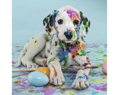 Tableau sur toile colorful dog 30x30 cm