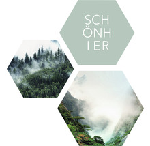 Représentation graphique avec le texte Plus beau et motifs naturels