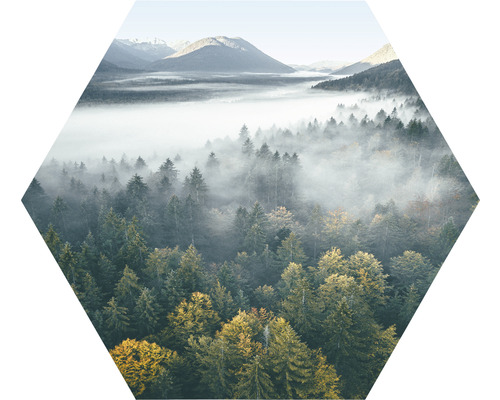 Hexagon Foggy Forest Atmosphere 45x45 cm
