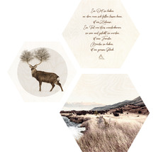 Tableau hexagonal chez soi dans le nature III lot de 3 3x 45x45 cm