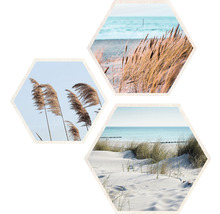 Image murale décorative avec des motifs de plage dans des cadres hexagonaux
