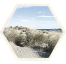 Hexagon Atmosphère de plage III 45x45 cm