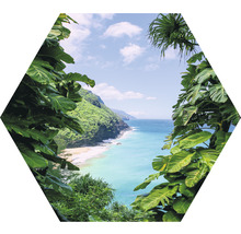 Image hexagonale d''un paysage côtier tropical avec une végétation luxuriante, une plage et la mer