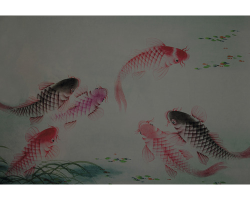 Papier peint panoramique intissé impression digitale DD110771 Asian Fusion Dancing Kois 4 pces 400 x 270 cm