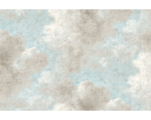 Papier peint panoramique intissé impression numérique DD118817 History of Art Cloud Painting 4 pces 400 x 270 cm