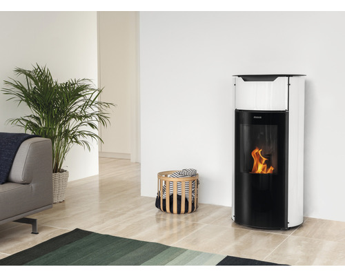 Salon avec poêle à pellets, canapé, plante et tapis