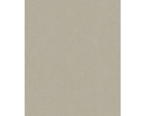 Vliestapete 32510 Dune Struktur grau Einheitliche Hintergrundtextur.