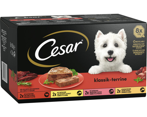 Nourriture pour chiens Cesar terrine classique poulet et dinde 8x150 g