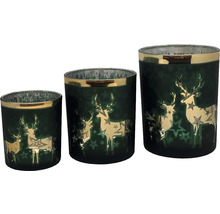 Windlichter Set aus Glas mit Hirsch und Stern Motiv