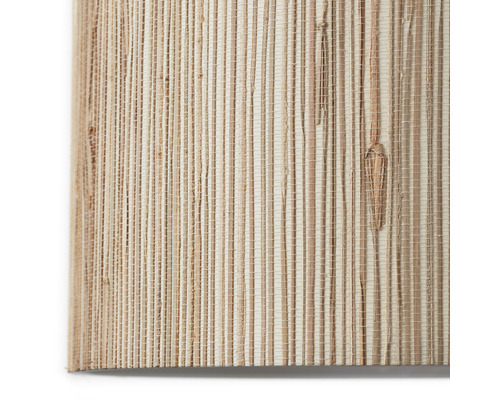 Gros plan d'un papier peint avec une structure d'herbe