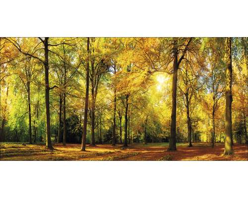 Tableau sur toile Sunset in forest III 50x100 cm