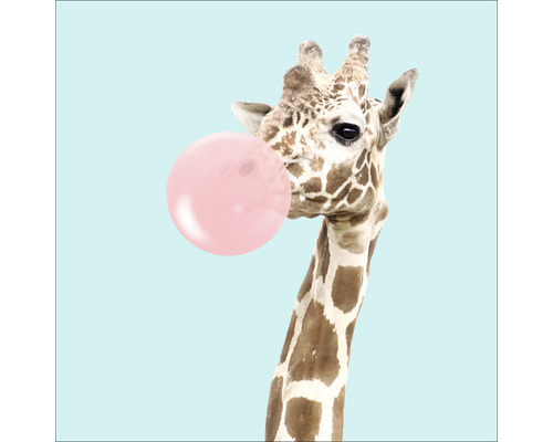 Leinwandbild Giraffe chewing gum 27x27 cm