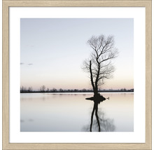 Gerahmtes Bild mit Baum im See