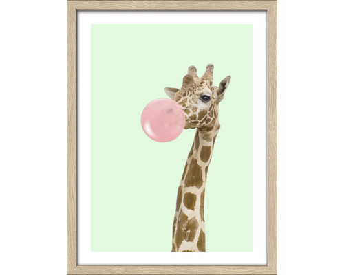Tableau encadré Girafes chewing gum 33x43 cm