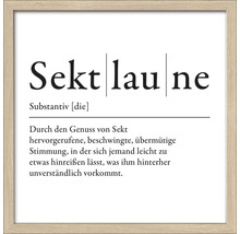 Image encadrée avec la définition du mot Sektlaune