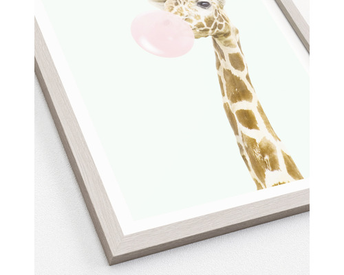 Image encadrée d''une girafe avec du chewing-gum