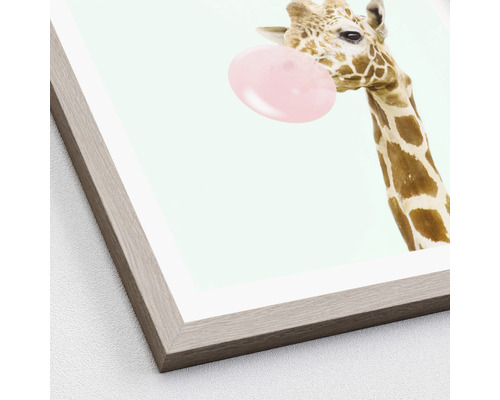 Gerahmtes Bild einer Giraffe mit einem Kaugummi