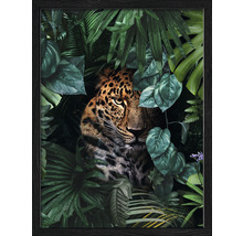 Gerahmtes Bild mit einem Leoparden zwischen Pflanzen
