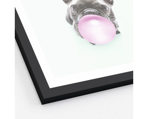 Image encadrée d''un chien avec du chewing-gum