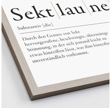 Image encadrée avec la définition du mot Sektlaune