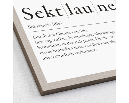 Image encadrée avec la définition du mot Sektlaune