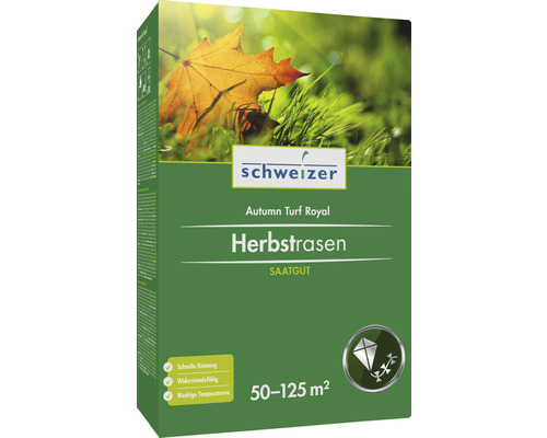 Schweizer Herbstrasen Saatgut für 50 bis 125 Quadratmeter