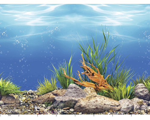 Aquariumrückwand mit Pflanzen, Steinen und Holzwurzeln