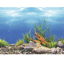 Aquarienhintergrund mit Unterwassermotiven und Pflanzen