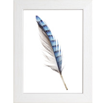 Image encadrée d''une plume d''oiseau à rayures bleues