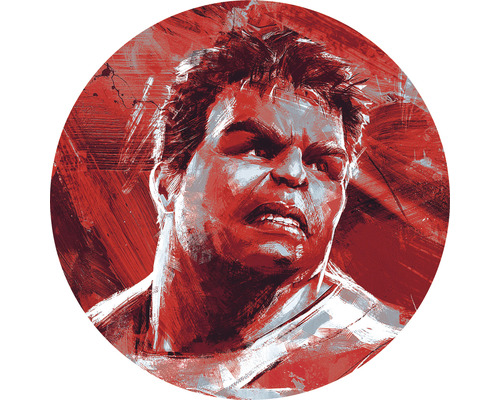 Papier peint panoramique autocollant DD1-047 Dot Avengers Painting Hulk Ø 125 cm Illustration du personnage de bande dessinée Hulk