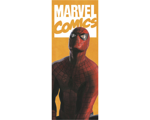 Papier peint panoramique intissé IADX2-070 Into Adventure Spider-Man Comic 2 pces 100 x 250 cm