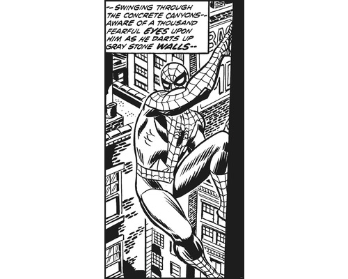 Papier peint panoramique intissé IADX2-085 Into Adventure Spider-Man Classic Climb 2 pces 100 x 200 cm