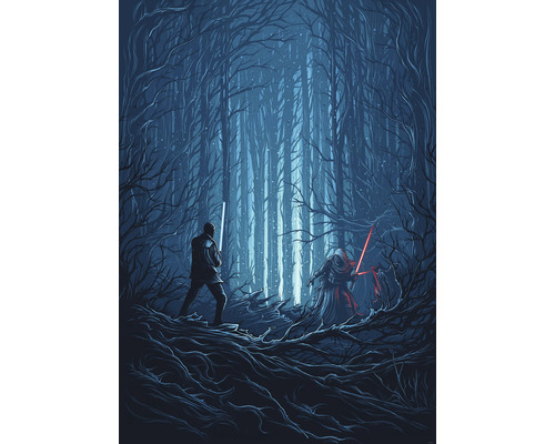 Papier peint panoramique intissé IADX4-003 Into Adventure Star Wars Wood Fight 4 pces 200 x 280 cm