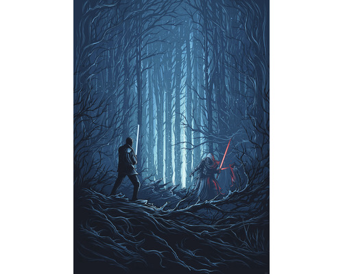 Fototapete Vlies IADX4-003 Into Adventure Star Wars Wood Fight 4-tlg. 200 x 280 cm