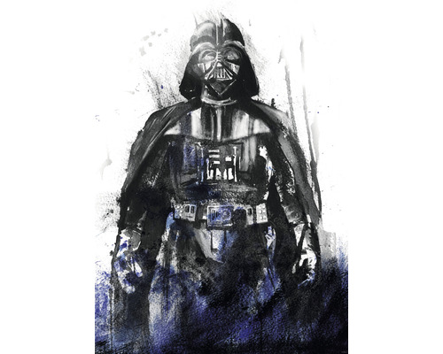 Papier peint panoramique intissé IADX4-017 Into Adventure Star Wars Watercolor Vader 4 pces 200 x 280 cm