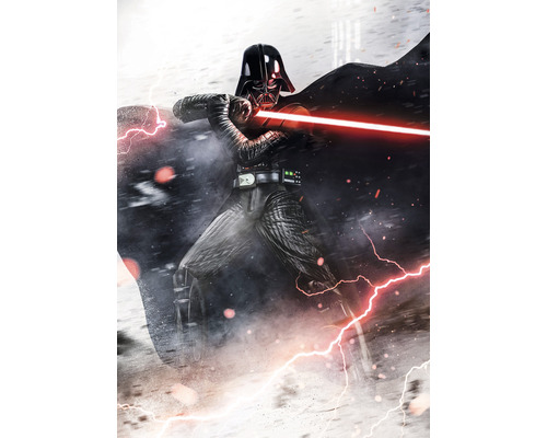 Papier peint panoramique intissé IADX4-025 Into Adventure Star Wars Vader Dark Forces 4 pces 200 x 280 cm