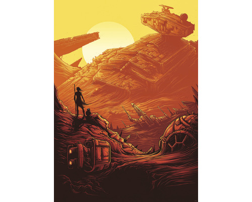 Papier peint panoramique intissé IADX4-027 Into Adventure Star Wars Jakku Star Destroye 4 pces 200 x 280 cm