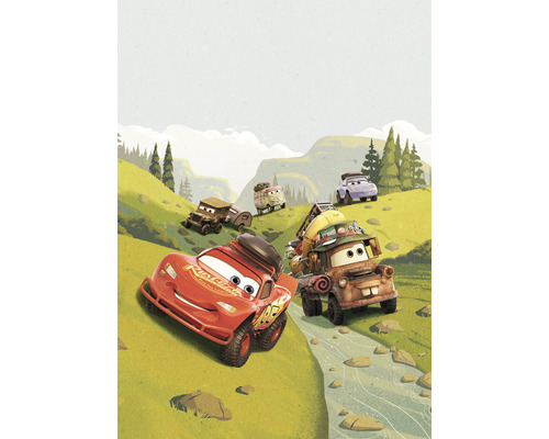 Papier peint panoramique intissé IADX4-034 Into Adventure Disney Cars Camping 4 pces 200 x 280 cm