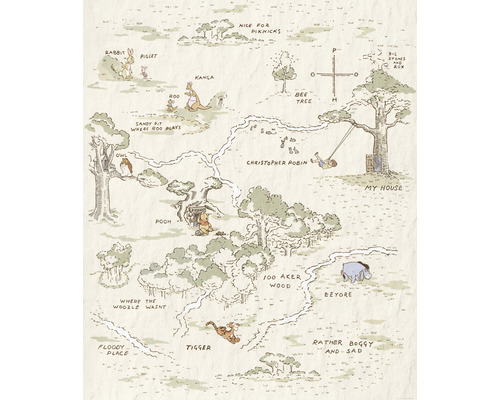 Papier peint panoramique intissé IADX4-042 Into Adventure Winnie Pooh Map 4 pces 200 x 240 cm
