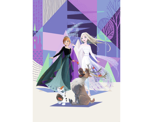 Papier peint panoramique intissé IADX4-059 Into Adventure Disney Reine des Neiges Abstract Arendelle 4 pces 200 x 280 cm