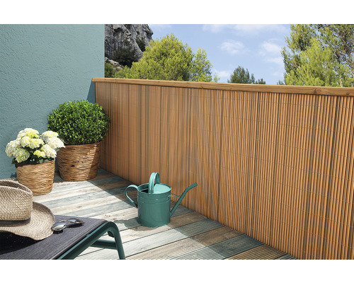 Balkonszene mit Bambuszaun, Pflanzen und Giesskanne