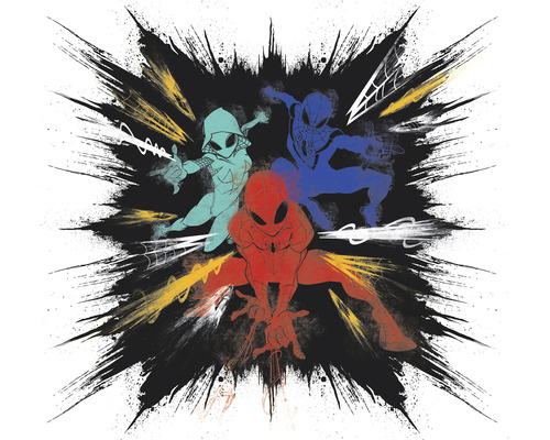 Papier peint panoramique intissé IADX6-080 Into Adventure Spider-Man Color Explosion 6 pces 300 x 280 cm