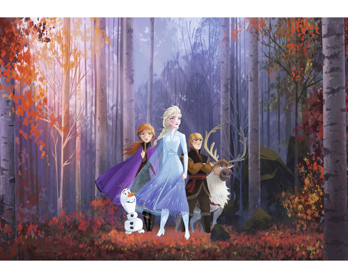 Papier peint panoramique intissé IADX8-005 Into Adventure Disney Reine des Neiges Autumn Glade 8 pces 400 x 280 cm