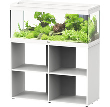 Aquarium avec plantes et poissons sur un meuble bas avec étagères