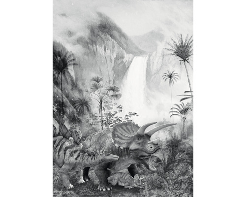 Papier peint panoramique intissé IAX4-0020 Into Adventure Jurassic Waterfall 4 pces 200 x 280 cm
