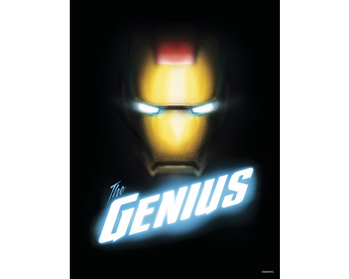 Poster Avengers The Genius 30x40 cm