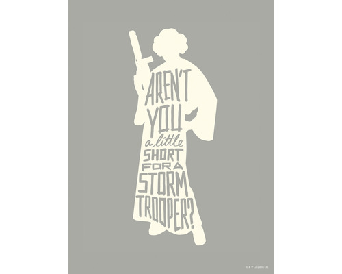 Poster Star Wars Silhouette Quotes Leia 30x40 cm