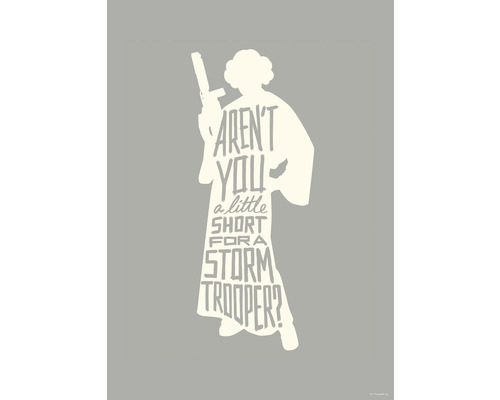 Poster Star Wars Silhouette Quotes Leia 50x70 cm
