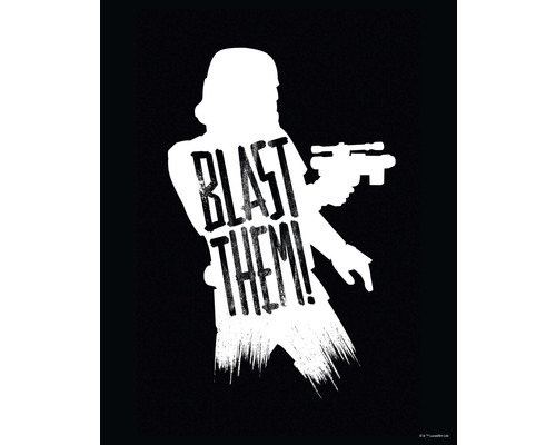 Poster Star Wars Silhouette Quotes Stormtooper 40x50 cm
